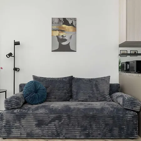 Funkcjonalny W Katowicach Z Dostepem Do Silowni, Sauny I Parkingiem By Renters *