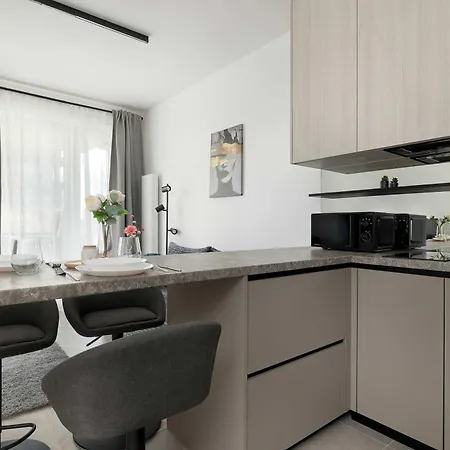 Lejlighed Funkcjonalny W Katowicach Z Dostepem Do Silowni, Sauny I Parkingiem By Renters Katowice