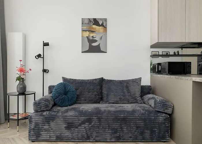 Funkcjonalny W Katowicach Z Dostępem Do Siłowni, Sauny I Parkingiem By Renters *