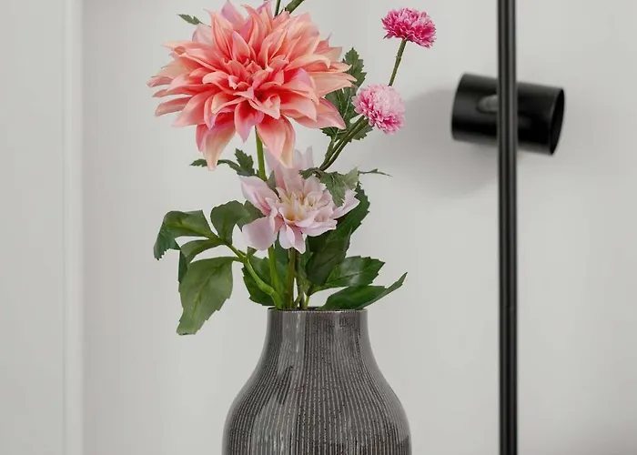 Funkcjonalny W Katowicach Z Dostępem Do Siłowni, Sauny I Parkingiem By Renters Katowice