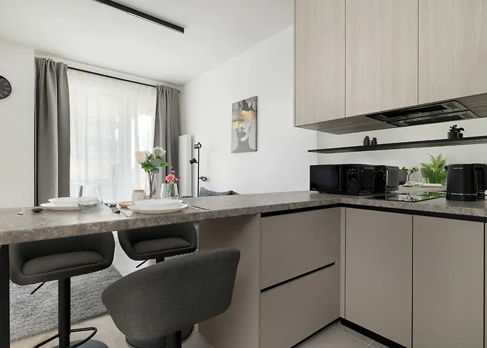 Apartament Funkcjonalny W Katowicach Z Dostępem Do Siłowni, Sauny I Parkingiem By Renters Katowice