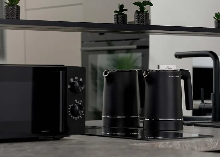 Lejlighed Funkcjonalny W Katowicach Z Dostepem Do Silowni, Sauny I Parkingiem By Renters Katowice