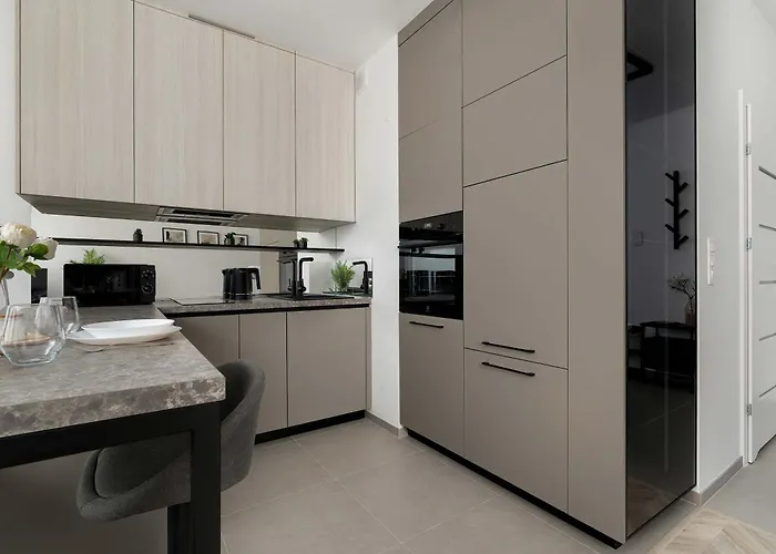 Funkcjonalny W Katowicach Z Dostepem Do Silowni, Sauny I Parkingiem By Renters